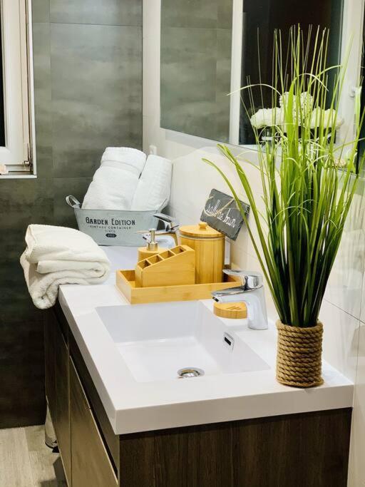 Gite Cosy Au Coeur De L'Alsace Apartment Roggenhouse Luaran gambar